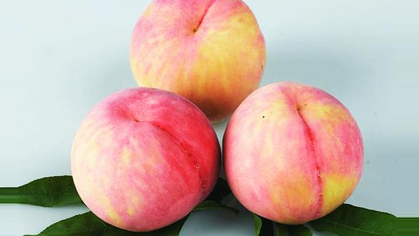 果蔬處理加工產(chǎn)線 果蔬處理加工產(chǎn)線圖片