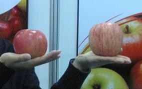 果蔬處理加工產(chǎn)線 果蔬處理加工產(chǎn)線樣品圖片