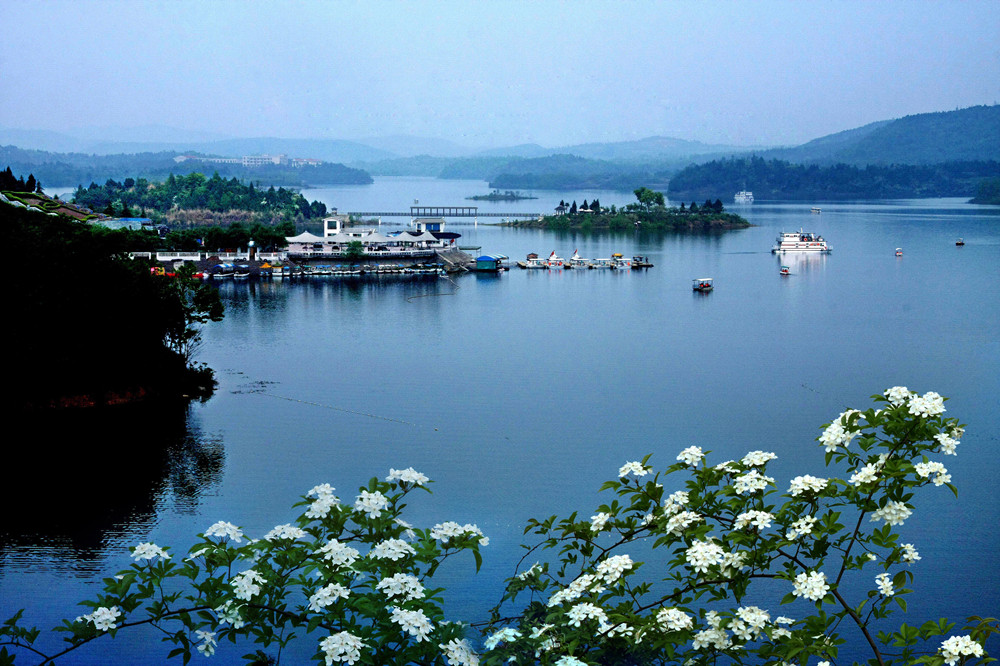 1628232195255242.jpg 綿陽(yáng).jpg