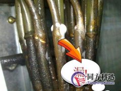 制冷劑泄漏有哪些檢測(cè)方法？